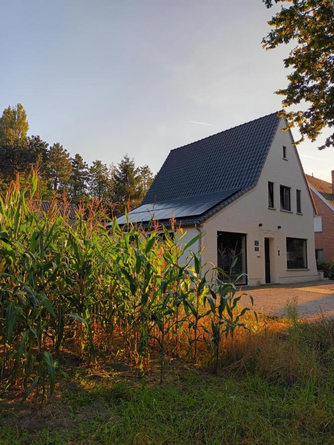 B&B Snelleghem Snellegem エクステリア 写真